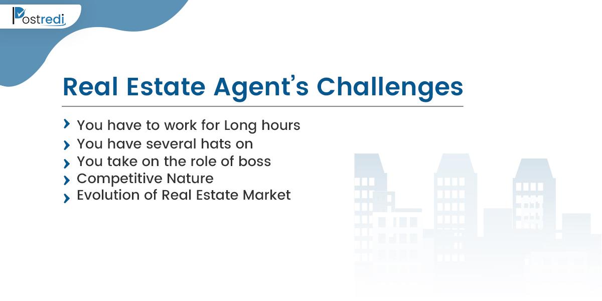 Real Estate Agent's Challenges